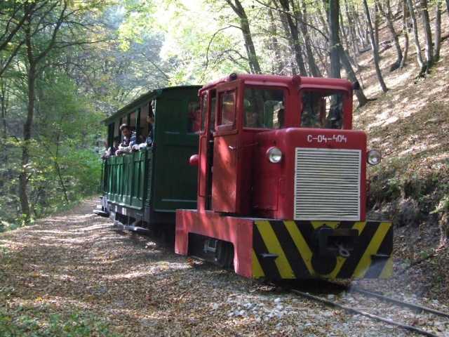 Vonat az őszi erdőben