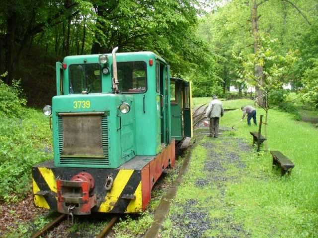 Kisirtás állomáson takarítják a pályát a vasút munkatársai