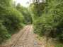 DSCF4585.JPG