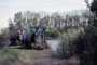 tmrkny7.10.2002.bfishfarmj.jpg